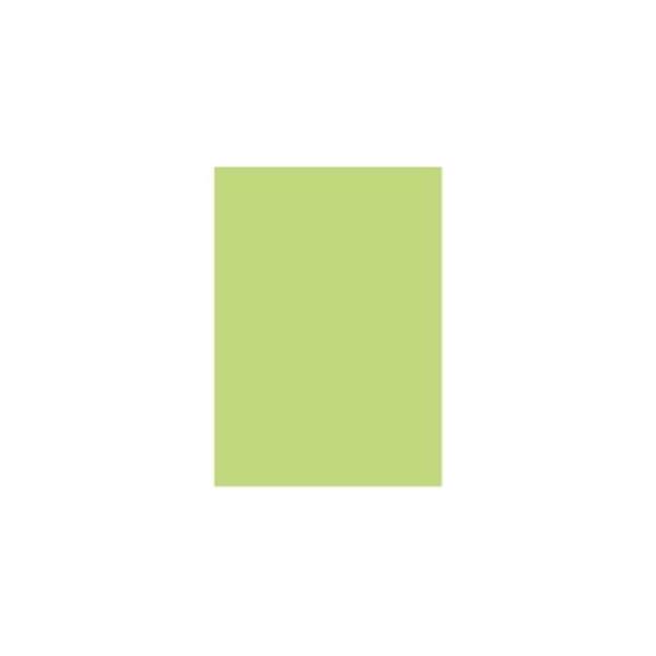 北越製紙 カラーペーパー/リサイクルコピー用紙 〔A5 500枚×10冊〕 日本製 グリーン(緑)