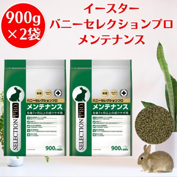 イースター バニーセレクションプロ メンテナンス 900g（225g×4袋） ×2