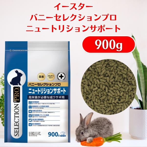 SELECTION PRO. イースター バニーセレクションプロ ニュートリション