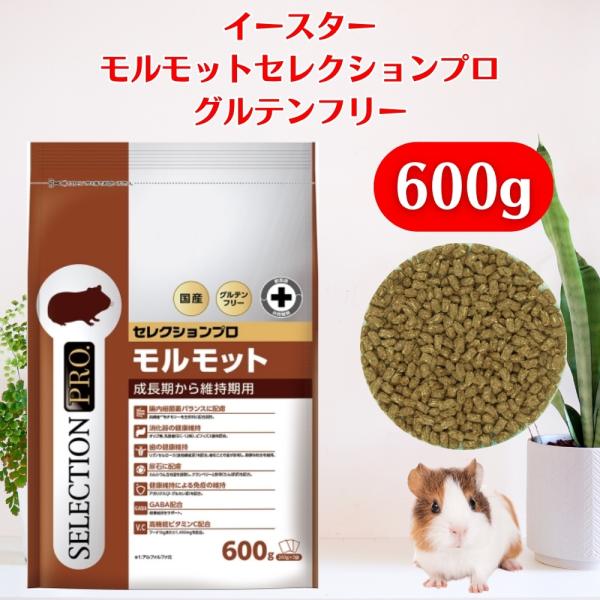 happy-mint_yeaster-morumotto-