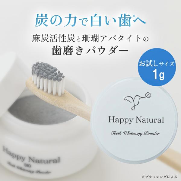 麻炭の歯磨きパウダー ミニサイズ 麻炭活性炭 歯磨き粉 無添加 はみがき 炭 ハミガキ 炭ハミガキ 植物性  ハミガキパウダー 麻炭 サンゴ 珊瑚 乳酸菌 キシリト…