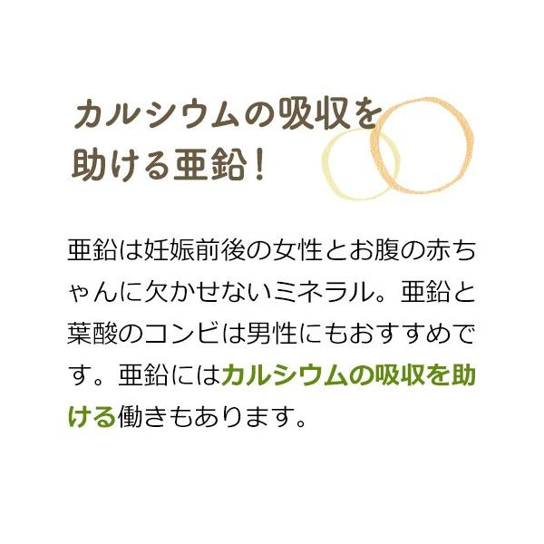 妊活 葉酸サプリ 1粒 1日分 鉄 カルシウム 妊活 妊娠 授乳 メール便送料無料 ヤマノ オーガニック サプリメント 無添加 サプリ 凝固剤なし つわり Buyee Buyee Japanese Proxy Service Buy From Japan Bot Online