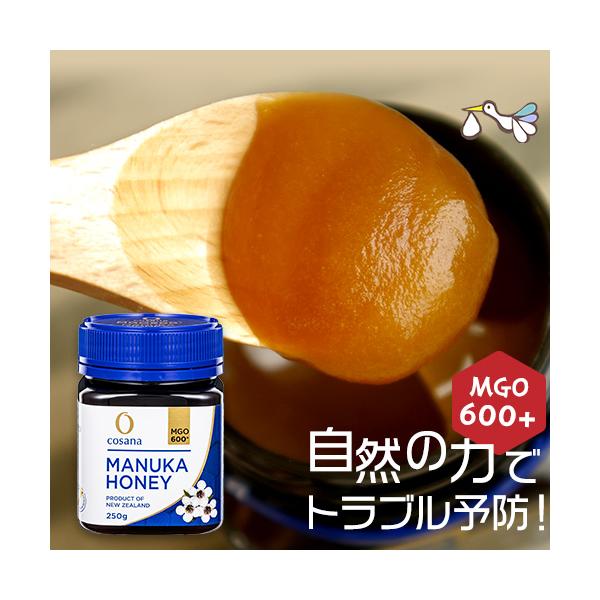 信頼】 コサナ マヌカハニー MGO600 250g ニュージーランド産 ハチミツ