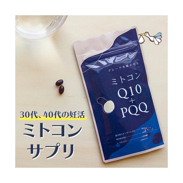 【 30代、40代の妊活を徹底サポート 】年齢による妊活のお悩みに特化したプレミアムサプリ。強力な抗酸化成分で年齢に負けない体づくりをサポートします。【ミトコンQ10＋PQQ の詳細】内容量　60粒（1ヶ月分）原材料　アマニ油（国内製造）、...