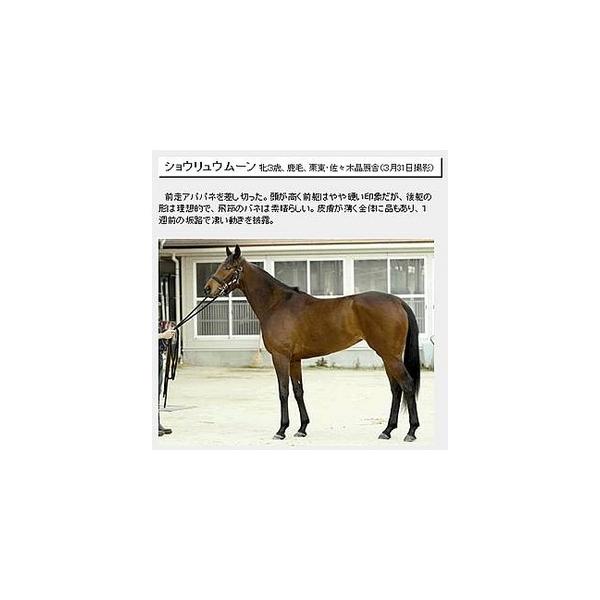最強競馬予想ソフト 競馬道２０１０ スーパーバリュー版 代引不可 Ds 33 家具 インテリアのhappyconnect 直送