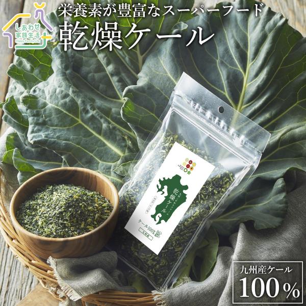 乾燥ケール100g 九州産ケール100% 乾燥野菜 無添加 送料無料 料理にトッピング 九州こだわりファーム