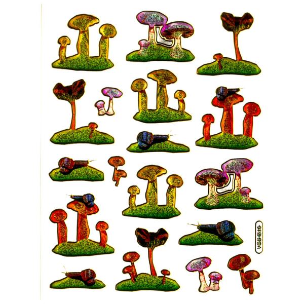 LLXebJ[V[g13 ̂ƃJ^c