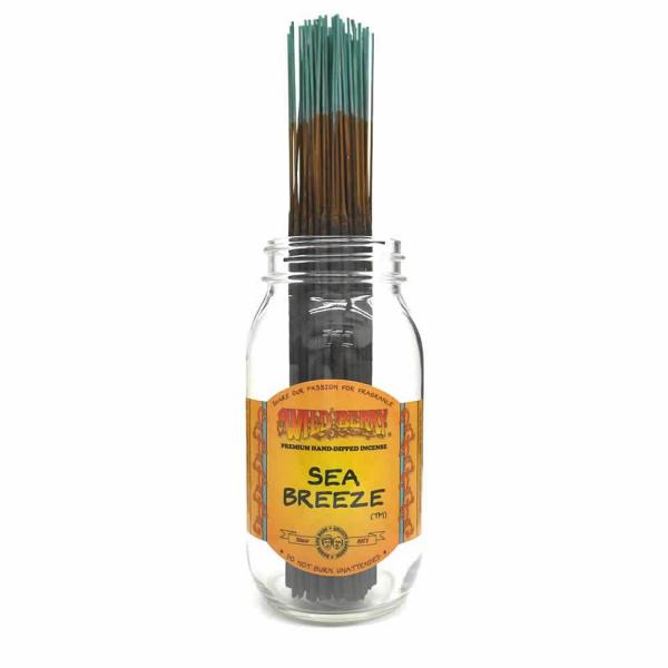 AĴ WILD BERRYChx[ V[u[Y S40