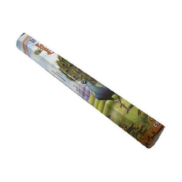 �v���X�e�[�W�� CYCLE Prestige ���� �C���Z���X �C���h��
