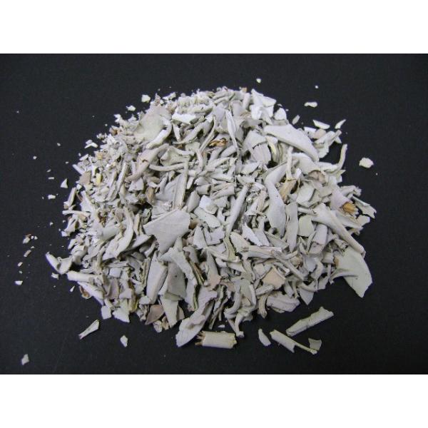 VRzCgZ[W NbV20O ܓ AJ蒼A炱̉i