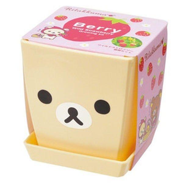 リラックマ フェイスポットガーデン ワイルドストロベリー 室内園芸 ミニ栽培キット Happy Island 通販 Yahoo ショッピング