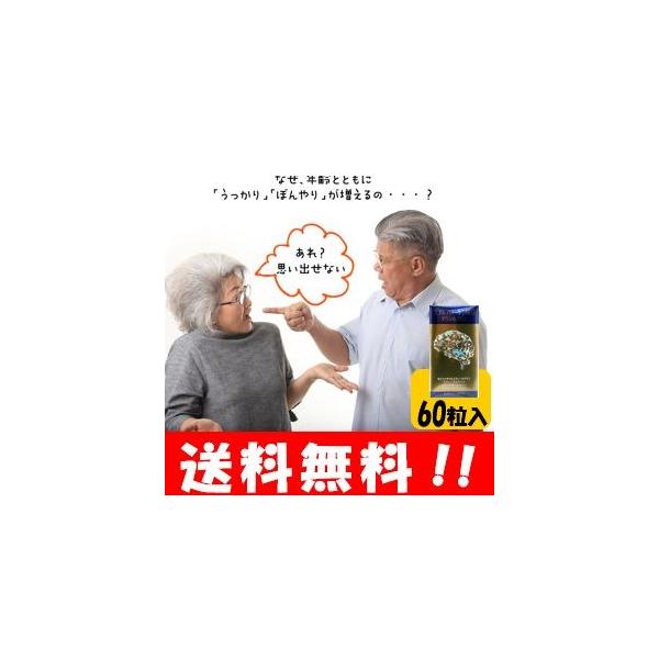 記憶力 サプリ みんな探してる人気モノ 記憶力 サプリ ダイエット 健康
