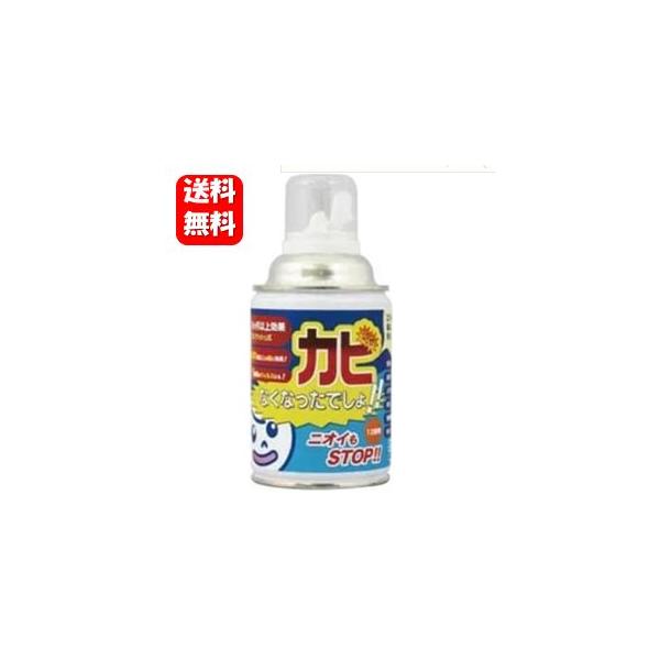 商品名 カビなくなったでしょ！！内容量 200ml有効範囲 (約)12畳成分 アルコール、防カビ・抗菌剤(ASK)、安定化剤ご使用方法 1.気になる部分(エアコンや車内など)にシュッとひと吹き2.処理空間(浴槽・お部屋など)に置いてワンプッ...