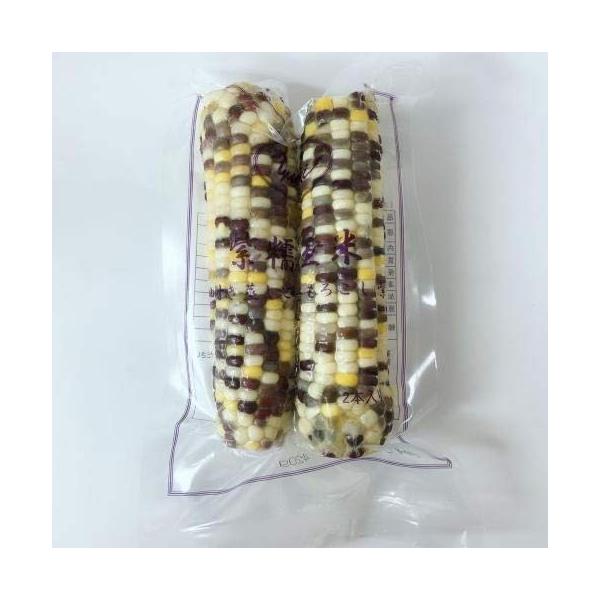 ʕ2{ Ⓚ tƂ낱  `gERV@ ؐH ؕY ^