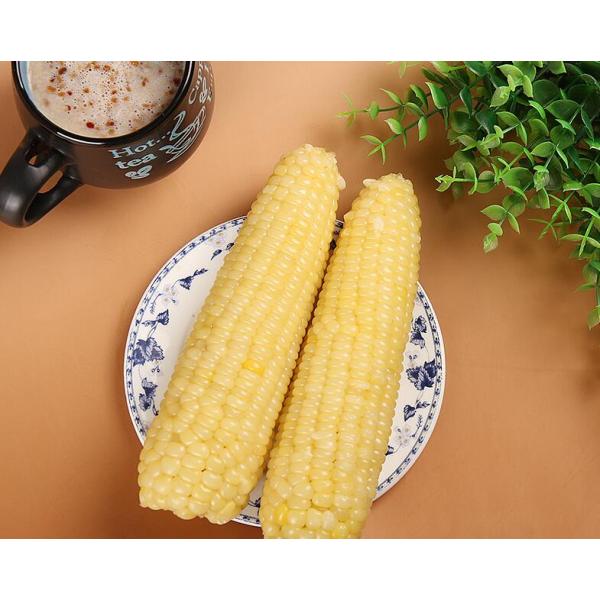 甘みは少ないですがコクがある♪【内容量】2本入り【原材料】とうもろこし（遺伝子組み換えでない）【賞味期限】枠外に記載【保存方法】　−18度以下で保存してください【調理方法】 蒸し器で15-18分ぐらい蒸してからお召し上がりください。　　　　...