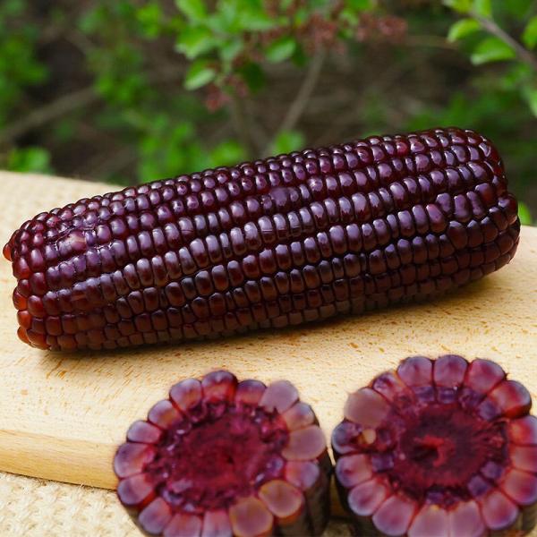 [粘玉米]と呼ばれている本場中国産ワキシーコーン（もち種）です。粒の中のデンプンにもち性があり、若いうちに収穫して蒸すと、もちもちとした食感があるのが特徴。調理済みのもので、温めるだけ！手間なし、調理なし簡単！電子レンジでOK！いつでも食べ...