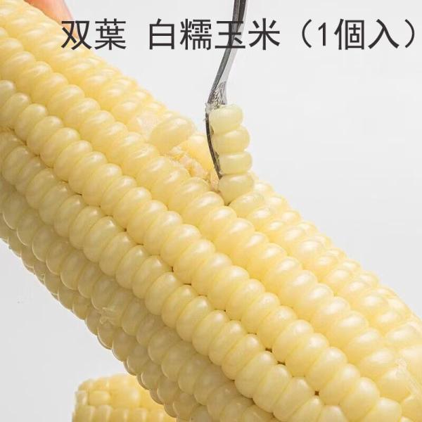 [粘玉米]と呼ばれている本場中国産ワキシーコーン（もち種）です。粒の中のデンプンにもち性があり、若いうちに収穫して蒸すと、もちもちとした食感があるのが特徴。調理済みのもので、温めるだけ！手間なし、調理なし簡単！電子レンジでOK！いつでも食べ...