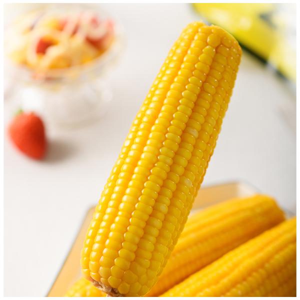 即席トウモロコシ 中華料理 惣菜 お弁当　非常食にも本場中国産ワキシーコーン（もち種）です。もちもちとした食感があるのが特徴。調理済みのもので、温めるだけ！電子レンジでOK！いつでも食べたい時に食べれるのが魅力。※スイートコーンではありませ...