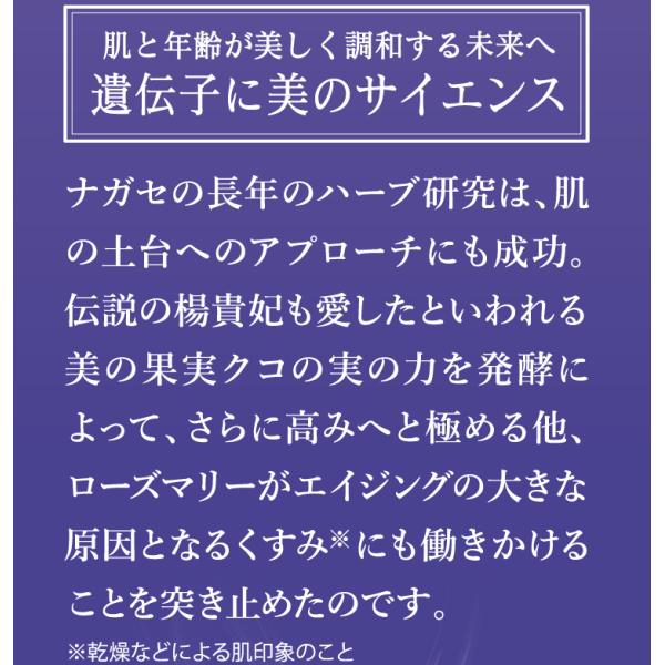 ナガセ ロズマリスト 32g Www Iainlangsa Ac Id