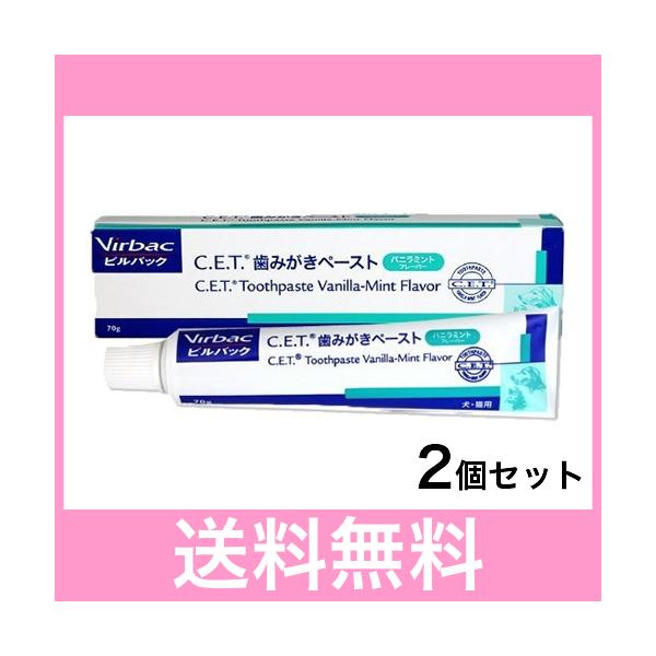 VETS One 犬猫用歯磨きペースト 45g × 45 ベッツワン（VETSOne