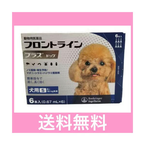 ◎◎【メール便・送料無料】犬用　フロントラインプラス　Ｓ（5〜10ｋｇ未満）６本入※期限2025.4　なくなり次第終売