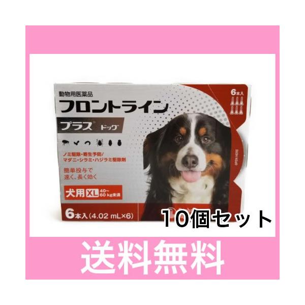 Ｓ【宅配便】犬用　フロントラインプラス　XL（40〜60ｋｇ未満）　６本　[10個セット]