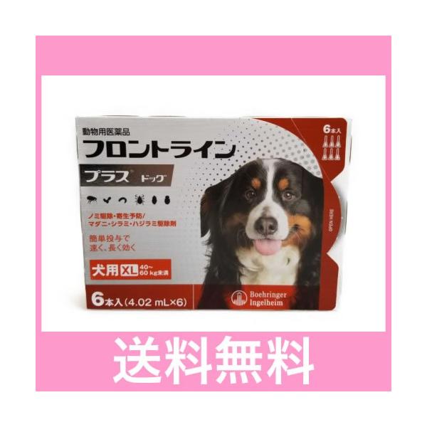 他サイト： Ｃ【メール便・送料無料】犬用　フロントラインプラス　XL（40〜60ｋｇ未満）　６本　※なくなり次第終売の商品画像