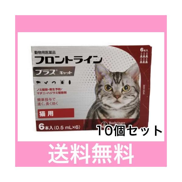 ★この商品は、代引き不可です！★送料540円（北海道、沖縄、離島：1080円）+代引き手数料324円追加で代引発送いたします。★当店にて追加料金の処理を行います。備考欄にその旨お書き下さい！【注意】1.代引き不可2.時間指定不可3.同梱不可...