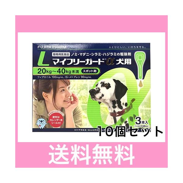 Ｒ【宅配便】犬用　マイフリーガードα　L（20〜40ｋｇ未満）　3本　[１０個セット]　