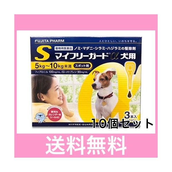 Ｒ【宅配便】犬用　マイフリーガードα　S（5〜10ｋｇ未満）　3本　[１０個セット]　
