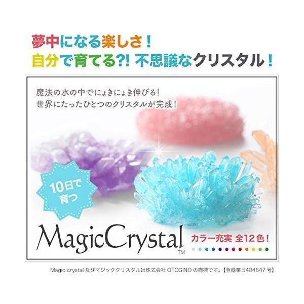 マジッククリスタル シーグリーン 10日で育つ不思議なクリスタル 送料無料 知育玩具 夏休み 工作 観葉植物