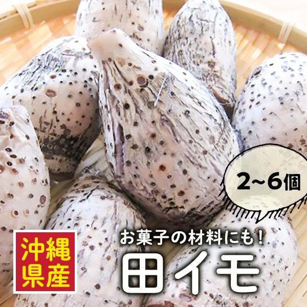 田芋 ターンム 沖縄県産 約1kg 2 6個 天ぷら 揚げ田芋 スイーツにもオススメ Ok Ys 015 沖縄ハッピーモア市場 野菜直売所 通販 Yahoo ショッピング