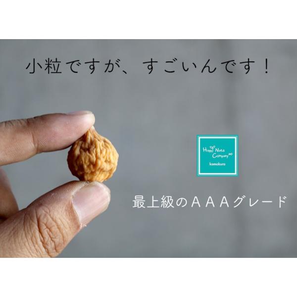 


ハッピーナッツカンパニー イラン産いちじく 無添加 120g
