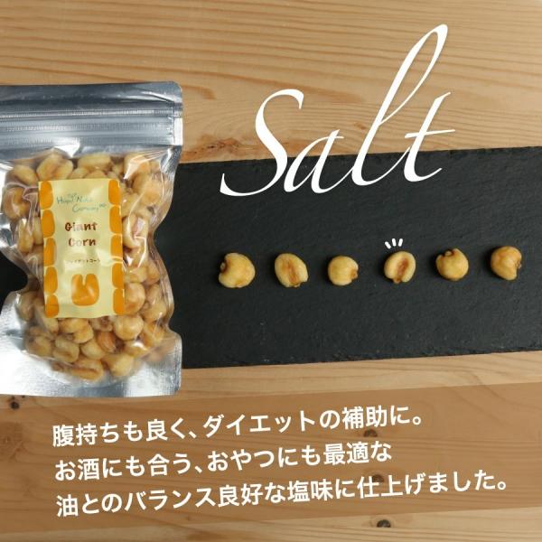 ソルト ジャイアントコーン 塩味 100g 元祖ジャイアントコーンコラボ ビールおつまみ おやつ ナッツギフト 専門店《メール便不可》ナッツ HappyNutsCompany
