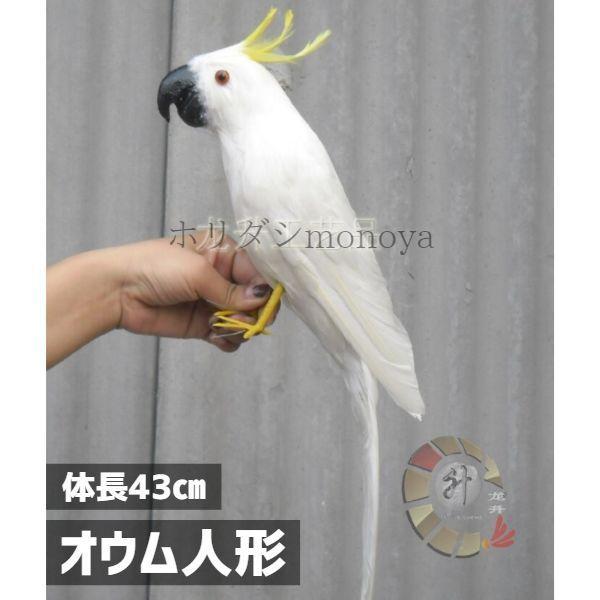オウム 人形 キバタンドール ぬいぐるみ 本物の羽 43cm 鳥 バード 置物 オブジェ かわいい オブジェ 置き物 am1 Happy Outlet 通販 Yahoo ショッピング