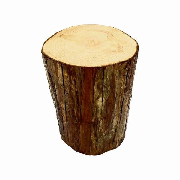 1236 台木　切り株 1236 台木切り株