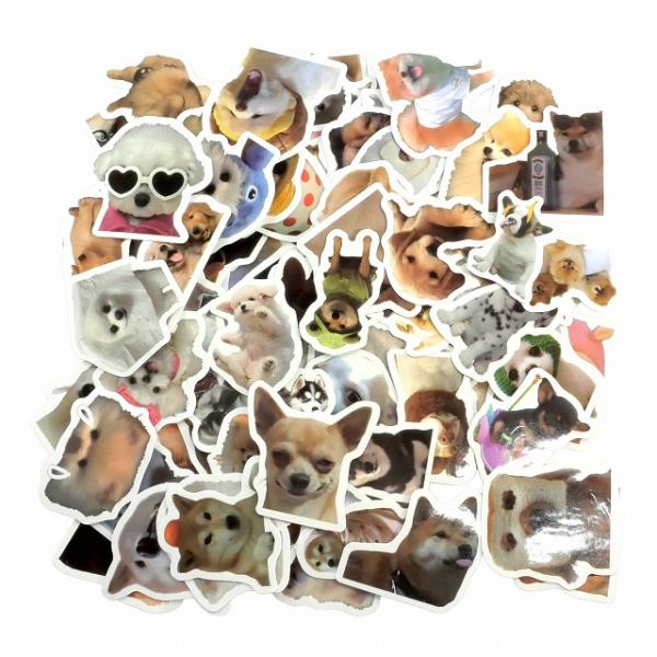 フレークシール 犬 約100枚セット 実写タイプ 福袋 てんこ盛り ステッカー イヌ 実写 大量 女の子 かわいい SS-147 メール便送料無料