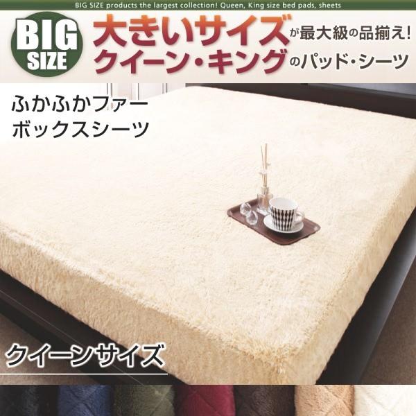 {bNXV[c NC[ ӂӂt@[  xbhJo[ xbhV[c NC[TCY