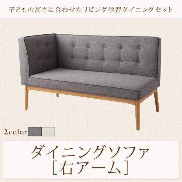 _CjO\t@ 2l| EA[  qɍ킹rOwK_CjO