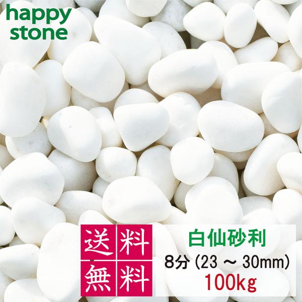 砂利 白仙 白 玉砂利 最高級 8分 23-30mm 100kg 丸み ホワイト 敷石 化粧石 防犯 防草 白玉石 砂利 玉石 ガーデニング まとめ買い 爆買