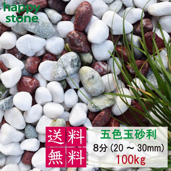砂利　玉砂利　五色玉砂利　8分　20-30ｍｍ　100kg　20kg×５袋　丸み抜群　庭 砂利 敷石 墓石まわり 化粧砂利 化粧石 丸石 ロックガーデン 庭石　爆買