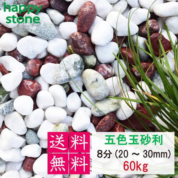 砂利　玉砂利　五色玉砂利　8分　20-30ｍｍ　60kg　20kg×３袋　庭 砂利 敷石 墓石まわり 化粧砂利 化粧石 丸石 ロックガーデン 庭石　まとめ買い　大量　爆買