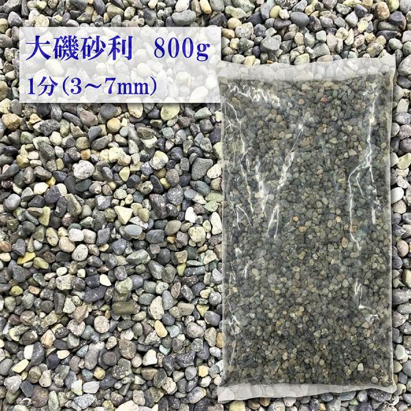アウトレット　砂利　在庫処分　大磯砂　大磯砂利　玉砂利　1分　3-7mm　800g　大磯　化粧玉砂利　お洒落　庭　水槽　ビオトープ　メダカ　金魚