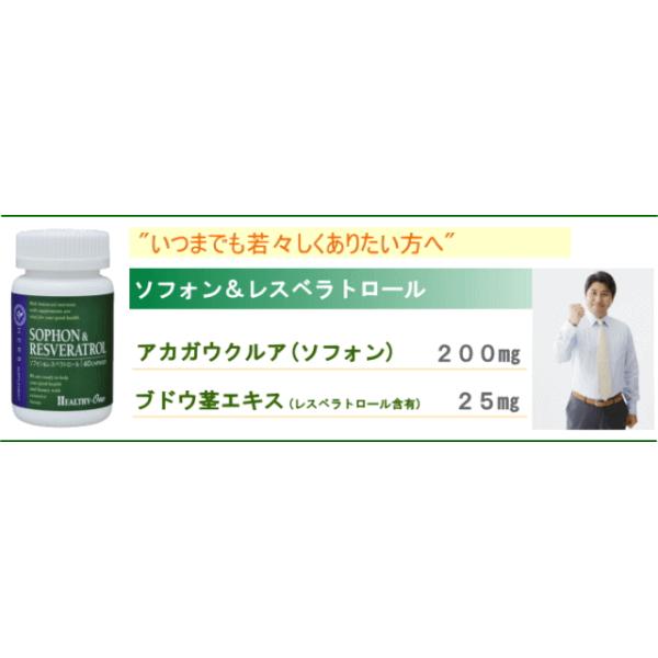 ヘルシーワン ガーリック 1カプセル 超人気の