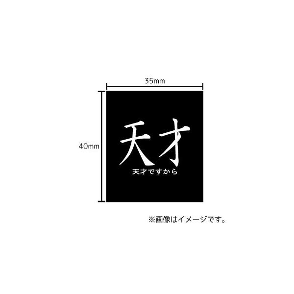 天才 天才ですから ステッカー シール 文字 車 自転車 アイコス スマホ 目印 おもしろ バスケ Buyee Buyee 提供一站式最全面最專業現地yahoo Japan拍賣代bid代拍代購服務 Bot Online