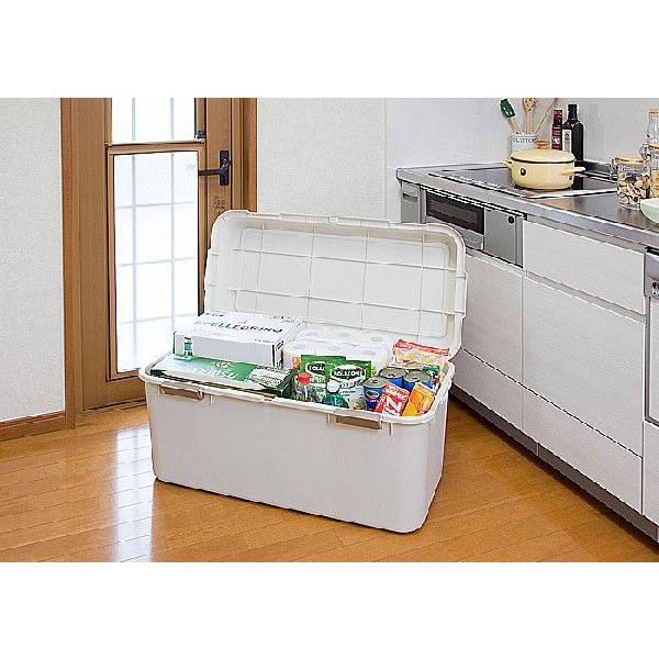 プラケース 衣装ケース 収納ボックス コンテナ ルームパック 幅cm アイボリー セール 収納家具 2個組 プラスチック収納ケース ふた付タイプ 44 3 44 5cm