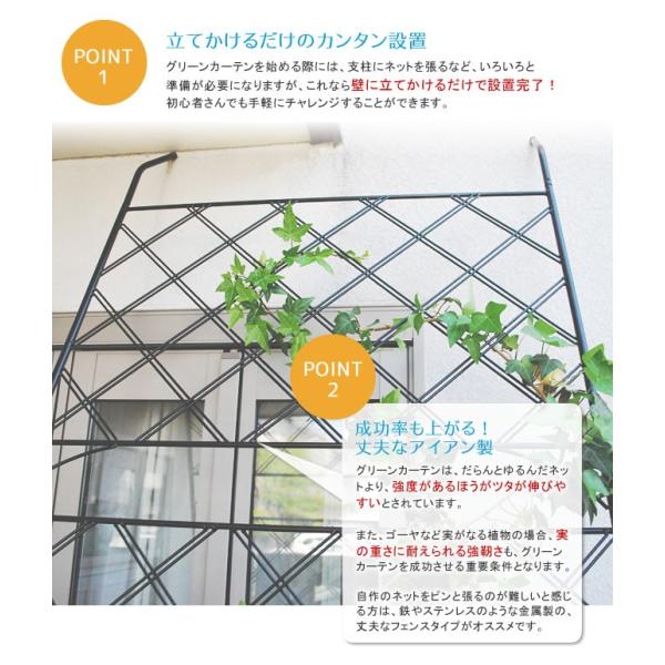 アイアン製グリーンカーテンフェンス アイアン Sale開催中 グリーンカーテン ゴーヤ 薔薇 バラ 朝顔 庭 境目 仕切り 枠 ガーデニング アンティーク 柵 目隠し ベランダ