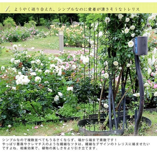 印刷可能 クレマチス フェンス 手作り 誕生 日 ライン 友達