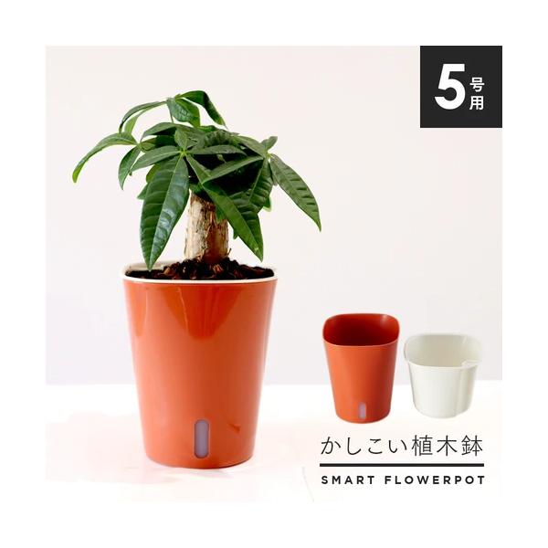 かしこい植木鉢 プランター 自動給水 水やり不要 鉢 5号 家庭菜園 ガーデニング 観葉植物 鉢植え 水受け不要 ブラウン