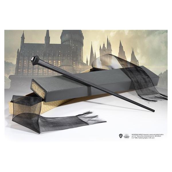 hari-kore_15932_1_d_20250228151435